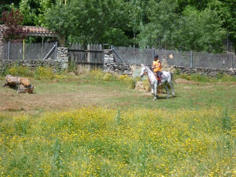 La Selección Navarra de Trec se clasifica para el Campeonato de España 2011
